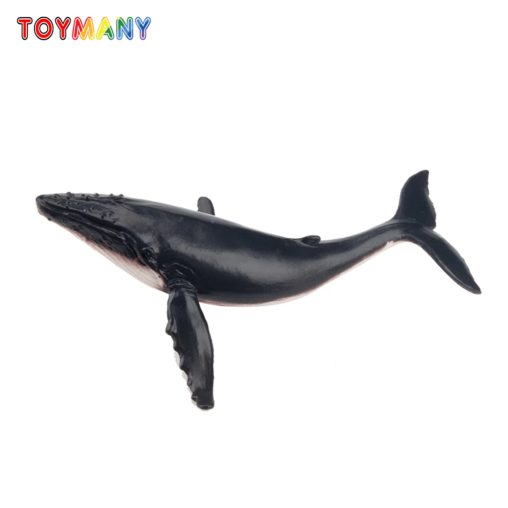 Toymany symulacja wielbłąd wie – Kids Toys Latest recenzja i cena
