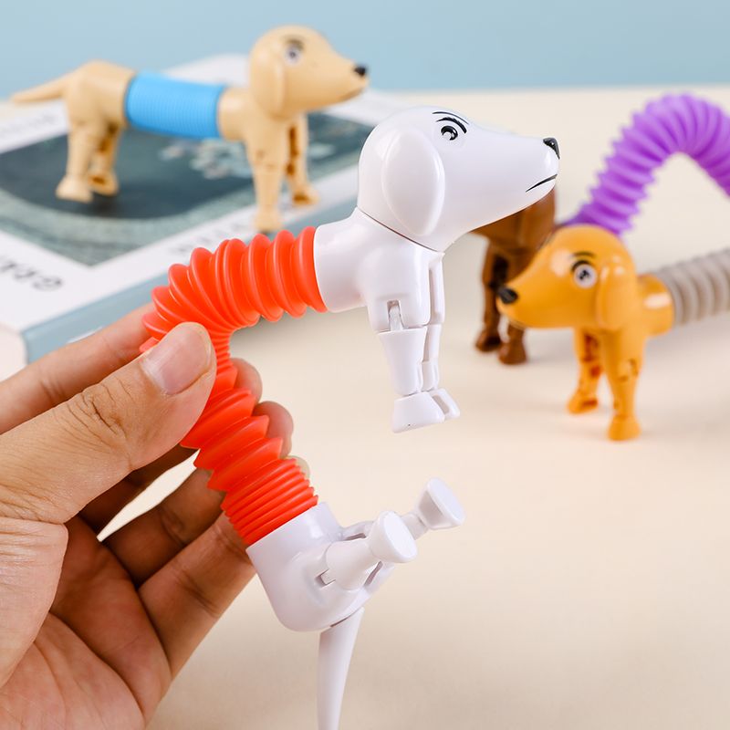 Nowość Spring Dog Pop Tubes za – Kids Toys Youtube recenzja i cena