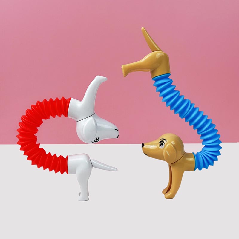 Nowość Spring Dog Pop Tubes za – Kids Toys Youtube recenzja i cena